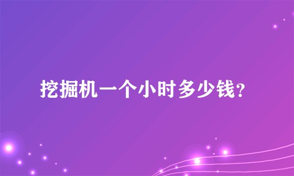 挖掘机一个小时多少钱？