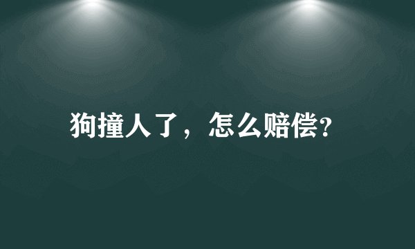 狗撞人了，怎么赔偿？