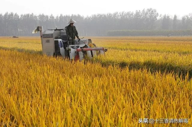 拜登上任后，会对各行各业产生什么影响？