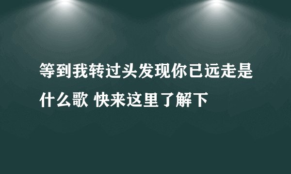 等到我转过头发现你已远走是什么歌 快来这里了解下