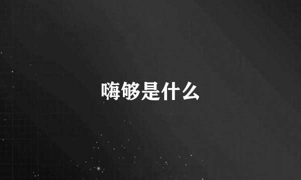 嗨够是什么