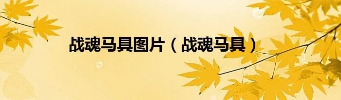 战魂马具图片（战魂马具）
