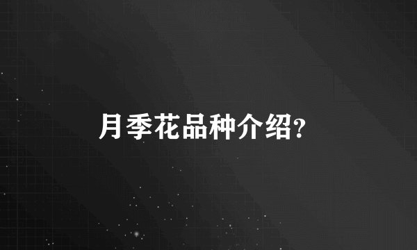 月季花品种介绍？