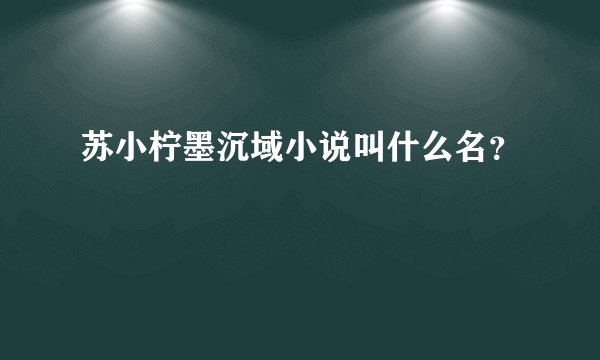 苏小柠墨沉域小说叫什么名？