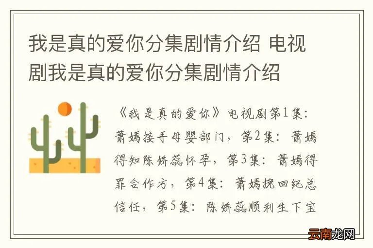 我是真的爱你分集剧情介绍 电视剧我是真的爱你分集剧情介绍
