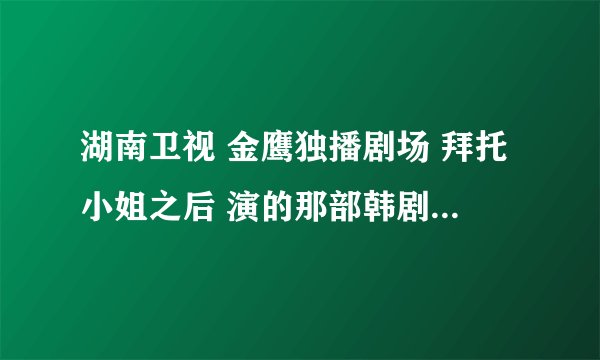 湖南卫视 金鹰独播剧场 拜托小姐之后 演的那部韩剧名字叫什么啊？我忘记了 ~~~