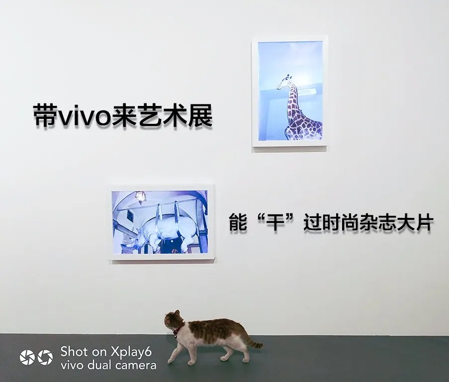 带vivo来艺术展 能