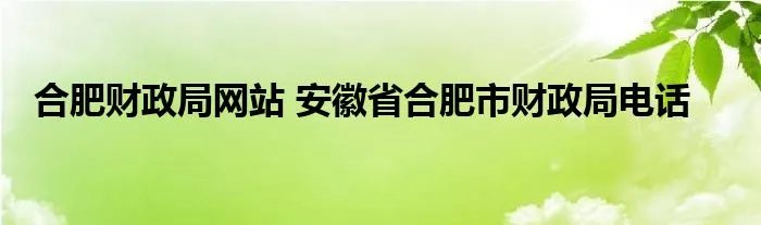 合肥财政局网站 安徽省合肥市财政局电话