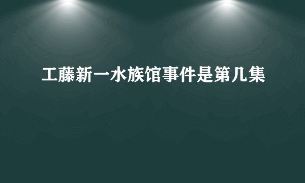 工藤新一水族馆事件是第几集