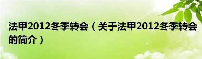 法甲2012冬季转会（关于法甲2012冬季转会的简介）