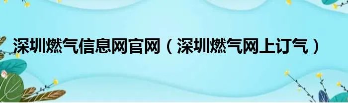 深圳燃气信息网官网（深圳燃气网上订气）