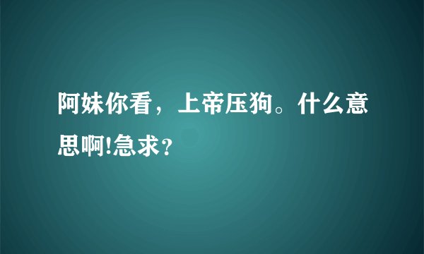 阿妹你看，上帝压狗。什么意思啊!急求？