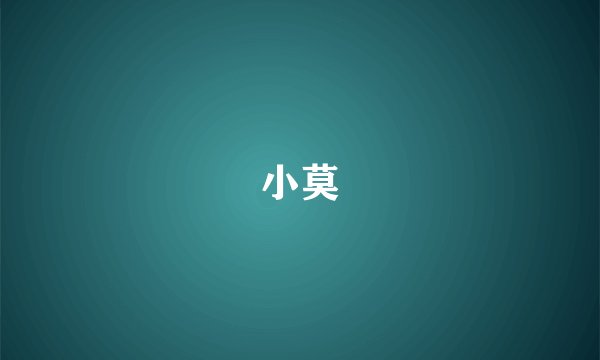 小莫