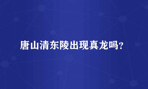 唐山清东陵出现真龙吗？