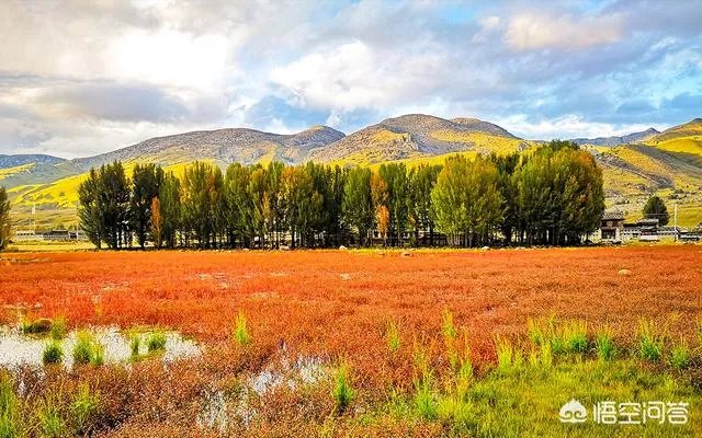 去稻城亚丁旅游一趟大概要花多少钱?怎么样?