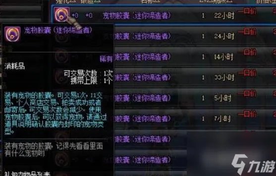 地下城与勇士拍卖行最强宠物是什么 地下城与勇士