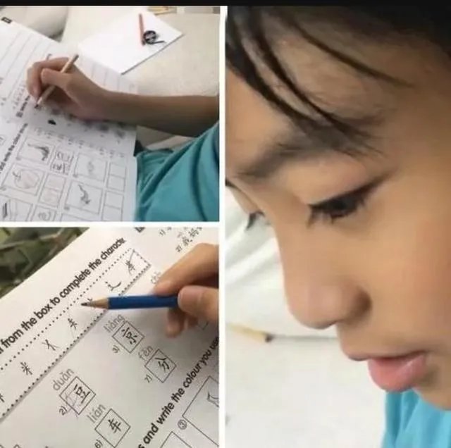 张柏芝的大儿子lucas要上春晚,为什么有的网友对此感觉不满?