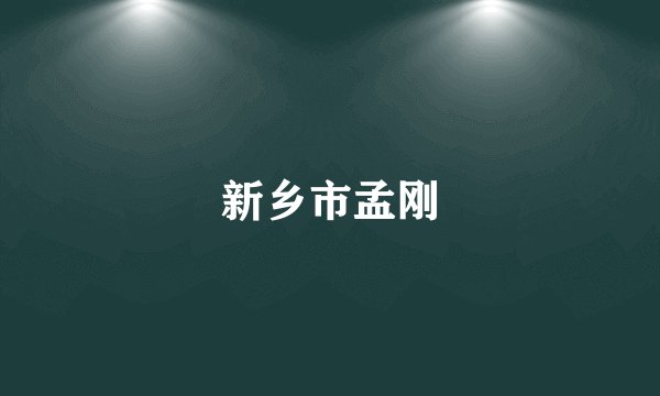 新乡市孟刚