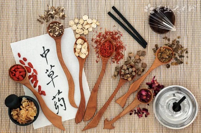 狐狸狗吃什么