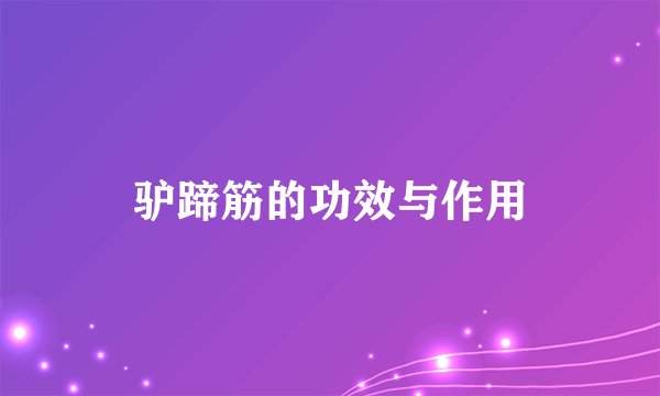 驴蹄筋的功效与作用