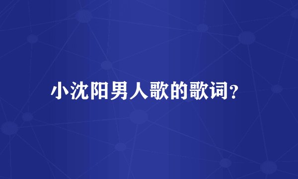 小沈阳男人歌的歌词?
