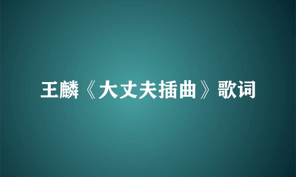 王麟《大丈夫插曲》歌词