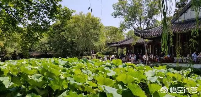 去苏州旅游需要多少钱？