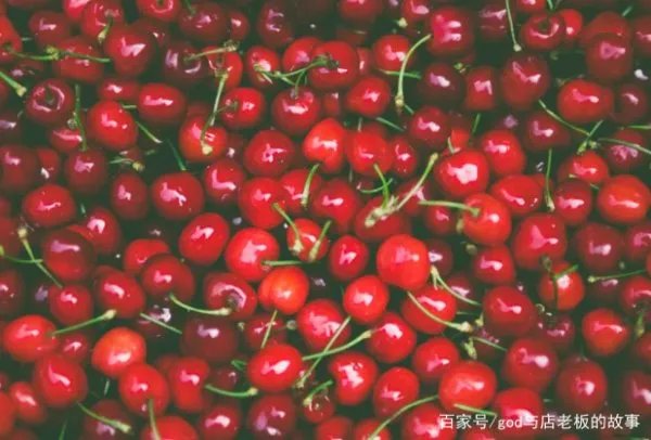 东航自产香水
