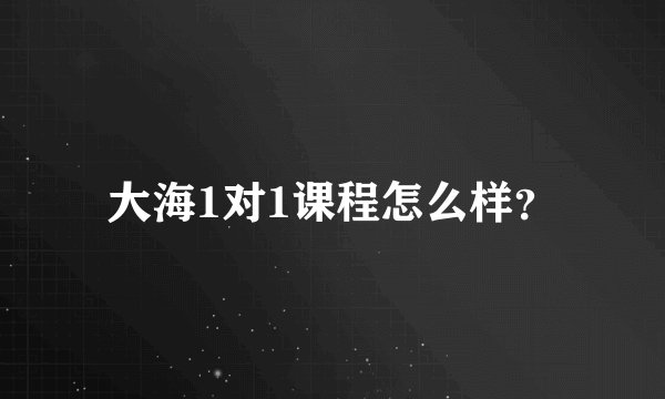 大海1对1课程怎么样？