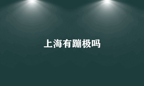 上海有蹦极吗