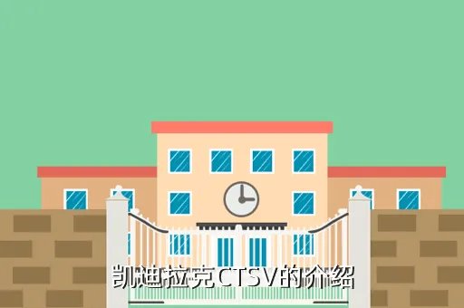 全新凯迪拉克cts，新款凯迪拉克CTS什么颜色最好看啊 报价大概为多少呢