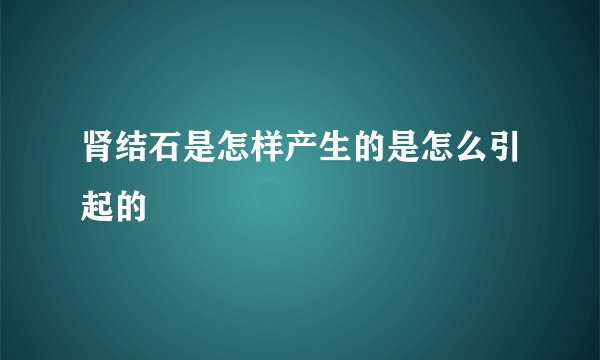 肾结石是怎样产生的是怎么引起的