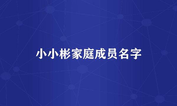 小小彬家庭成员名字