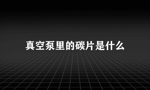真空泵里的碳片是什么