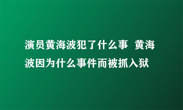 演员黄海波犯了什么事  黄海波因为什么事件而被抓入狱