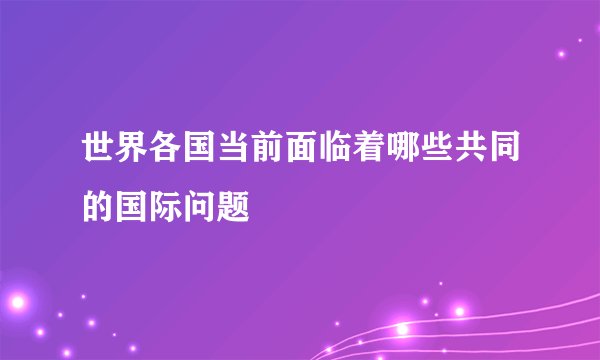世界各国当前面临着哪些共同的国际问题