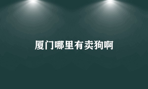 厦门哪里有卖狗啊