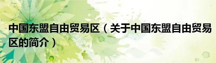 中国东盟自由贸易区（关于中国东盟自由贸易区的简介）