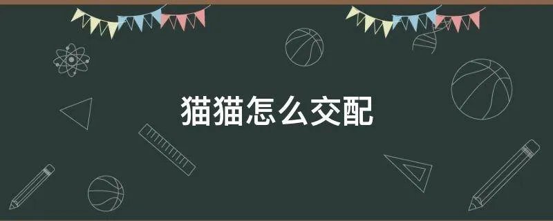 猫怎么交配