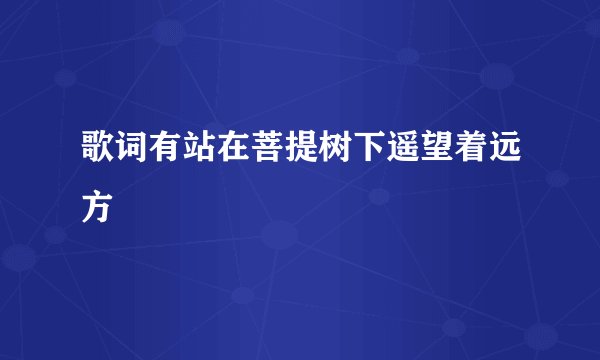 歌词有站在菩提树下遥望着远方