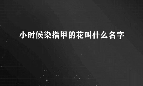 小时候染指甲的花叫什么名字