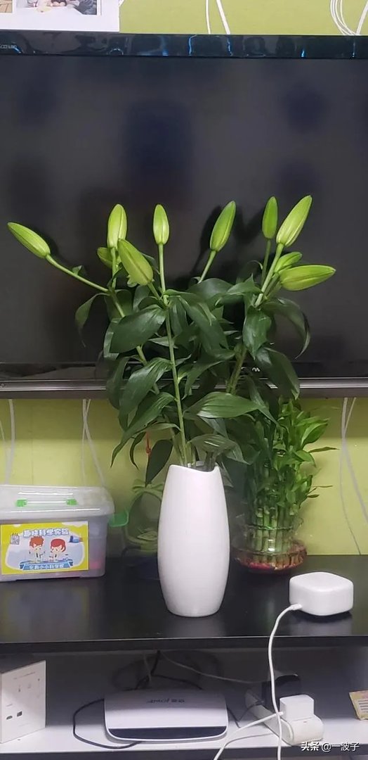 西安现在房价这么高,会不会降价,灞桥区房子值得投资吗?
