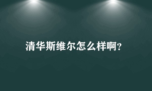 清华斯维尔怎么样啊？