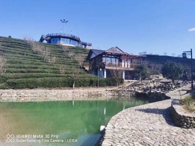 我是干旅游超市的,今年还能继续干么?