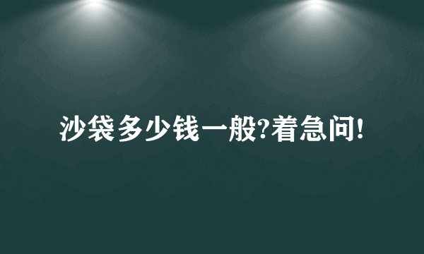 沙袋多少钱一般?着急问!