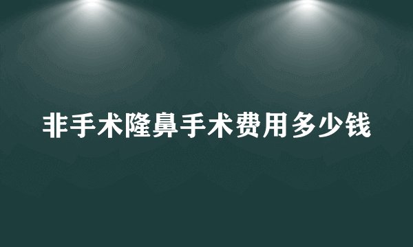 非手术隆鼻手术费用多少钱