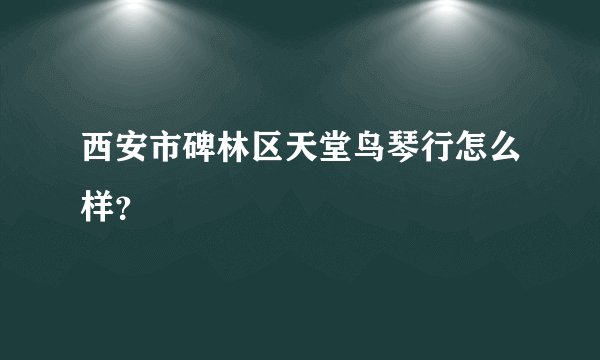 西安市碑林区天堂鸟琴行怎么样？