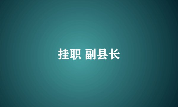 挂职 副县长