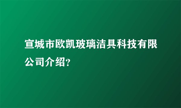 宣城市欧凯玻璃洁具科技有限公司介绍？