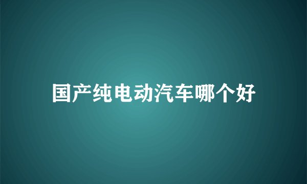 国产纯电动汽车哪个好